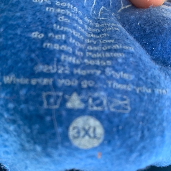 Harry Styles Hoodie (official tour merch) - Picture 5 of 5